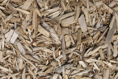 biomass boilers Halsfordwood