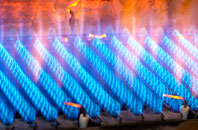 Halsfordwood gas fired boilers
